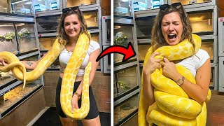 The Most Disturbing Snake Attacks Ever Filmed