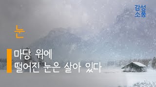 마당 위에 떨어진 눈은 살아 있다｜눈｜김수영｜시낭송｜좋은글｜좋은시｜잠잘때 듣는｜오디오북 ｜감성소풍