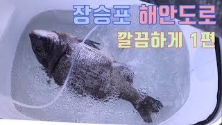 감성돔낚시, 생활낚시 - 20201223 거제도 장승포해안로 도보 포인트 1편