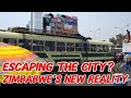 Why Zimbabweans Are FLOCKING Back to the Countryside! (The New Rural Wave) 