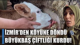 Kadın Çiftçi Köyüne Döndü Büyükbaş Çiftliği Kurdu / AGRO TV HABER