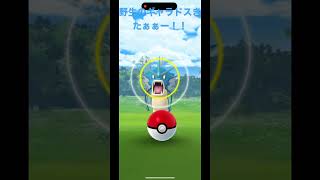 【ポケモンGO】野生のギャラドスきたぁぁーー！！【野生/ギャラドス/ポケモンGO】