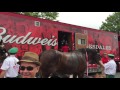 Loading up the Clydesdales