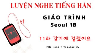 FILE NGHE - SEOUL 1B - SÁCH BÀI HỌC kèm transcript _Bài 11 Giáo trình Seoul _ 11과 감기에 걸렸어요