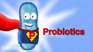 Supreme Probiotics Pro15 by Cognoa