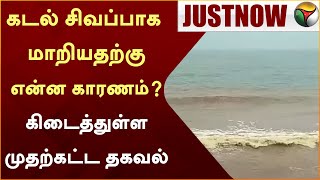 #JUSTNOW: கடல் சிவப்பாக மாறியதற்கு என்ன காரணம்? கிடைத்துள்ள முதற்கட்ட தகவல் | Puducherry | PTT