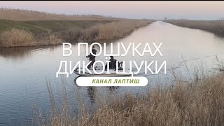 🔥 ЩУКА 2025: ТРОЛЛИНГ в Дунайских плавнях и на канале Лаптыш! ТОП воблеры и вертушки! 🎣