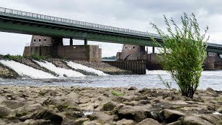 Europas größte Fischtreppe erklärt – Geesthacht: So funktioniert die Fischaufstiegsanlage!