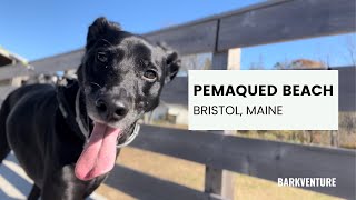 Dog-Friendly Beach in Maine | Exploring Pemaquid Beach Park in Bristol ME