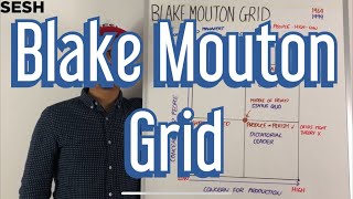 Blake Mouton Grid