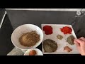 baharat spicy mix recipe￼ now you can make easy middle east and turkish cuisine￼