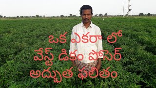 వేస్ట్ డికం పోసెర్ అద్భుత ఫలితం/ waste decomposer awesome   31 July 2019