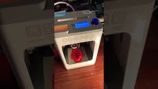 ENTINA Tina2 3D Printer. Maxing with a little skull.