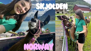 Exploring Skjolden, Norway: Llamas, Local Pub and Princess Cruise Adventures 🌸