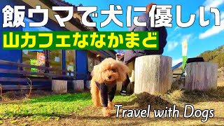 【グルメ旅】山に囲まれたカレーの旨い「山カフェななかまど」は犬にも優しいカフェでした｜カフェ｜グルメ旅｜栃木県鹿沼市｜犬OKカフェ｜INUVAN│バンライフ│キャンピングカー