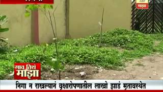 Gaon Tithe Majha 7pm : Parbhani : Plants Dead Due To Neglegance 16 07 2016