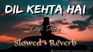 Dil Kehta Hai | Lofi Slowed Reverb - Feeling | Romantic Song| Akele Hum Akele Tum | Hindi Song