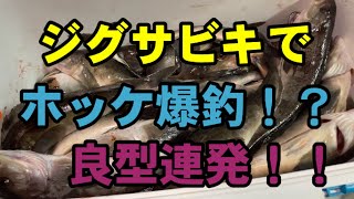 ジグサビキでホッケ爆釣！