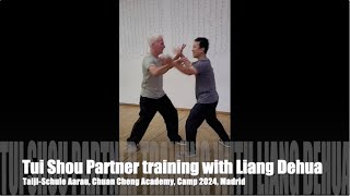 Tai Chi/Taiji, Push Hands/Tui Shou, Liang Dehua, Chuan Cheng Taijiquan and Internal Arts Academy