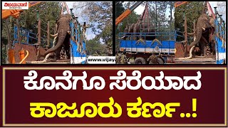 Wild Elephant | ಕಾಜೂರು ಕರ್ಣ  ಖ್ಯಾತಿಯ 40 ವರ್ಷದ ಗಂಡಾನೆಯ ಸೆರೆ..!