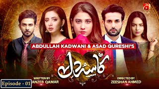 Kasa-e-Dil - Episode 01 | Affan Waheed | Hina Altaf | Ali Ansari |@GeoKahani