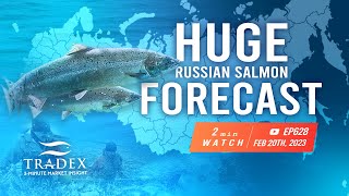 3MMI - Huge 2023 Russian Salmon Forecast, Big Pink Year, Chums Overestimated