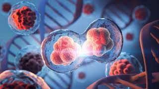 Meet LUCA- the Last Universal Common Ancestor