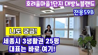 718.세종시3생활권 선호도 높은 보람동 대방노블랜드 전용59B타입 3베이 내부구조 평면 입지 소개 영상입니다.