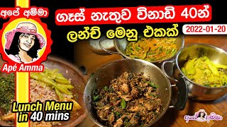 ✔ගෑස් නැතුව විනාඩි 40න් ලන්ච් මෙනු එකක් Lunch menu in 40 mins by Apé Amma