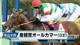 【競馬】2024年 第70回オールカマー(GⅡ)【レーベンスティール / C.ルメール】