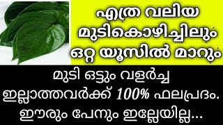 വെറ്റില ഉണ്ടോ? മുടികൊഴിച്ചിൽ നിങ്ങളെ അലട്ടില്ല  l Vettila Hair Pack l Betel Leaf Hair Pack Malayalam