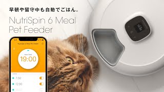 ウェットフードにも対応！ トレイタイプの回転式スマート給餌器 Petoneer NutriSpin 6 Meal Pet Feeder（ニュートリ・スピン）