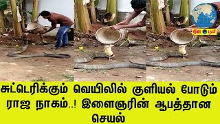 சுட்டெரிக்கும் வெயிலில் குளியல் போடும் ராஜ நாகம்..! இளைஞரின் ஆபத்தான செயல்  | Don't Try This