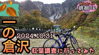 【群馬】谷川岳一の倉沢の紅葉具合を見に行きました、参考にして頂ければ嬉しいです。