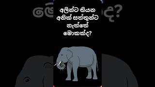 මේවා දකින්නේ ජිවිතේ පළමු වතාවට🧠🔥#sinhala #shorts #short #smart