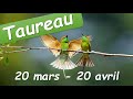 ♉️ TAUREAU 🐂 - 20 mars au 20 avril