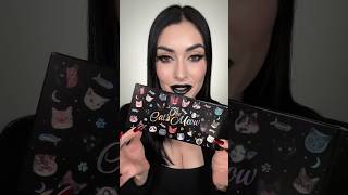 A CAT collection 😻 #blackmooncosmetics #cats #makeup #unboxing