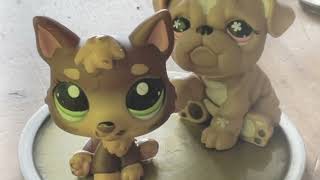 LPS: Symphony Klance