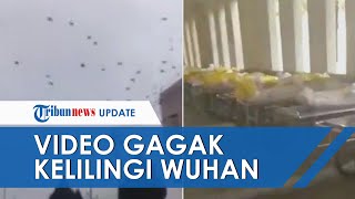 Video Rekaman Mengerikan Ribuan Gagak Terbang di Langit Wuhan, Dikaitkan Korban Tewas Virus Corona