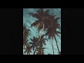 [FREE FOR PROFIT] chill x tropical type beat - 