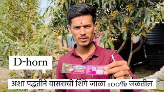 अशा पद्धतीने वासराची शिंगे जाळा 100% जळतील | d-horn