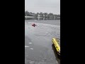 Firefighter Braves Ice to Rescue Dog From Partially Frozen Lake