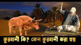 কুরবানী কি ? কেনই বা কুরবানী পালন করা হয় | Qurbani Ki Ebong Keno Qurbani Kora Hoy