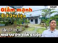 Nhà vườn Bình Chánh | Bán Nhà Vườn Long An | nhà vườn cần giuộc giảm sâu | nhà vườn 365 | G0481