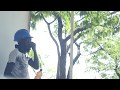 Persie Pee -  NdoLife Yacho(Official Music Video)