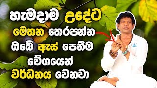 හැමදාම උදේට මෙතන තෙරපන්න ඔබේ ඇස් පෙනීම වේගයෙන් වර්ධනය වෙනවා - Improve Your Eye Side