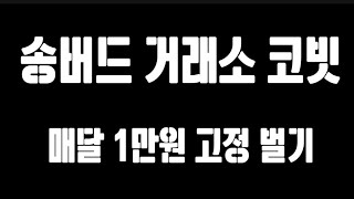 송버드거래소 SGB 코빗 수익 매달1만원 벌기 (2초투자)