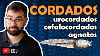 Urocordados, Cefalocordados e Agnatos - Cordados. Aula 27 - Módulo VI: Zoologia | Prof. Gui