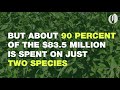 Invasive plant species that cost Oregon millions