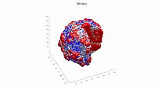 3D Agent-Based Model of Colorectal Cancer